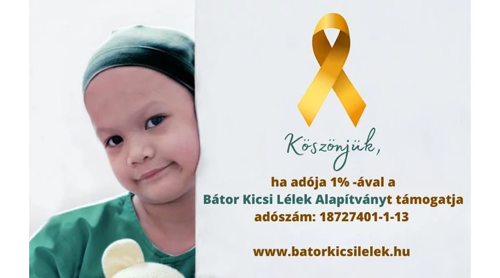 A bátor kicsi lélek alapítványról